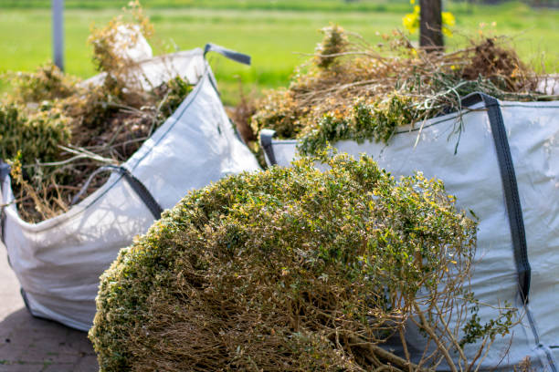 Best Professional Junk Removal  in Manor, PA
